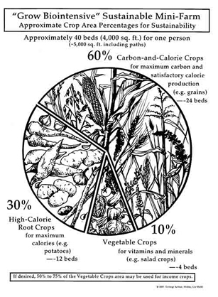 1: La  proporción 60/30/10 para la siembra de carbón, calorías y vegetales;<br />
2: Un grupo escolar de niños descubre que cultivar calorías es ¡divertido!